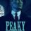 Peaky Blinders : 5.Sezon 6.Bölüm izle