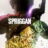 SPRIGGAN : 1.Sezon 3.Bölüm izle