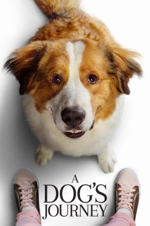 Kartopu Savaşları 2 izle (2018)