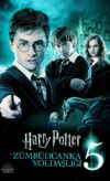 Harry Potter ve Zümrüdüanka Yoldaşlığı izle izle