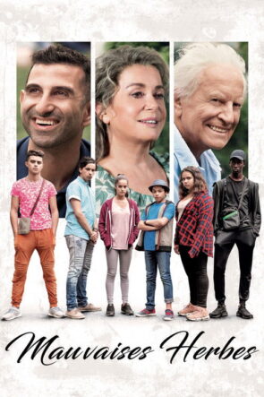 Ben Kaybolmadan Önce izle (2014)