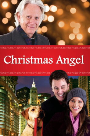 Noel Meleği izle (2009)