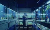 The Sunlit Night izle (2020)