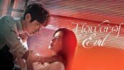 Flower of Evil izle