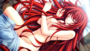 High School DxD izle