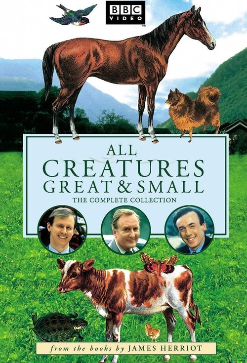 All Creatures Great and Small : 2.Sezon 1.Bölüm