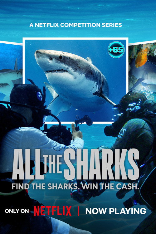 All the Sharks : 1.Sezon 4.Bölüm