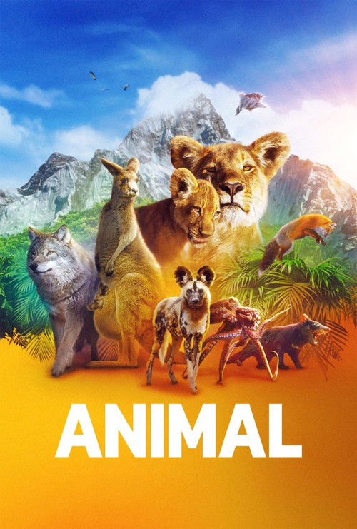 Animal : 1.Sezon 2.Bölüm