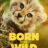 Born to Be Wild : 1.Sezon 4.Bölüm izle
