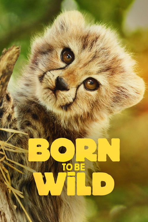 Born to Be Wild : 1.Sezon 4.Bölüm