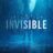 Invisible : 1.Sezon 2.Bölüm izle