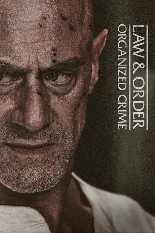 Law & Order Organized Crime : 3.Sezon 16.Bölüm