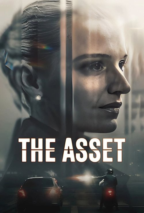 The Asset : 1.Sezon 5.Bölüm