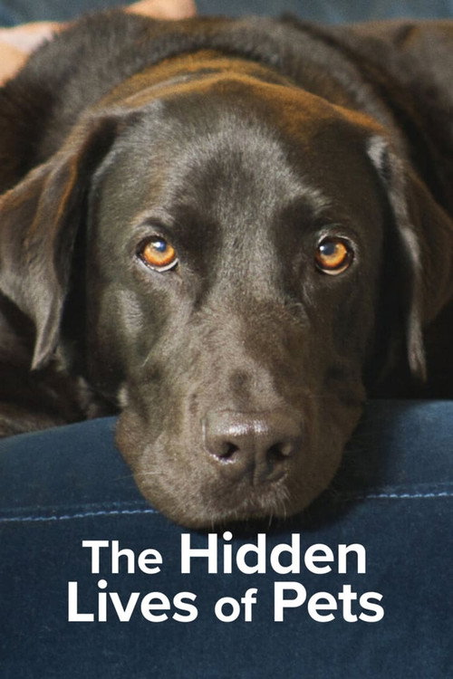 The Secret Life of Our Pets : 1.Sezon 1.Bölüm