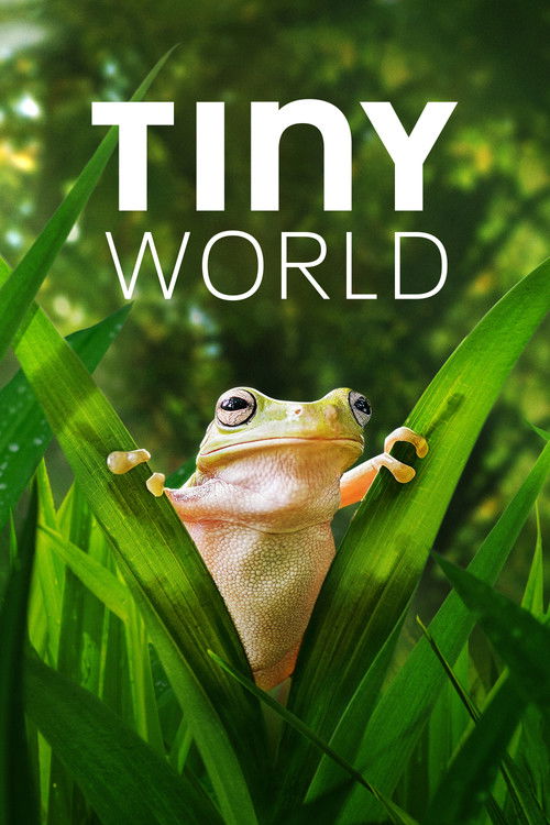 Tiny World : 2.Sezon 2.Bölüm