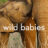 Wild Babies : 1.Sezon 6.Bölüm izle