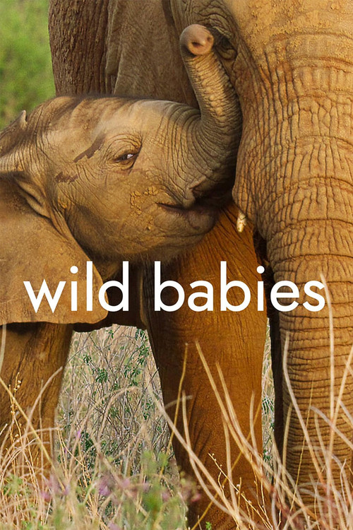 Wild Babies : 1.Sezon 6.Bölüm