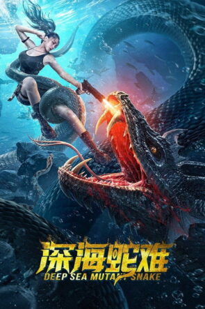 압꾸정 izle (2022)