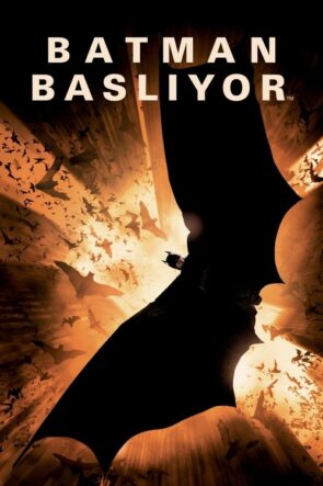Bana Bir Soygun Yaz 2 izle (2018)