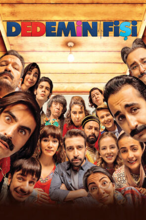 Dedemin Fişi izle (2016)