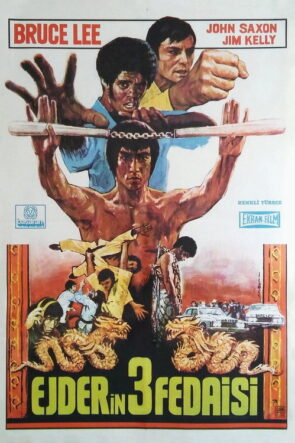 Ejderin 3 Fedaisi izle (1973)