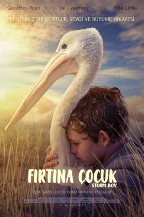 The Sweetest Heart izle (2018)
