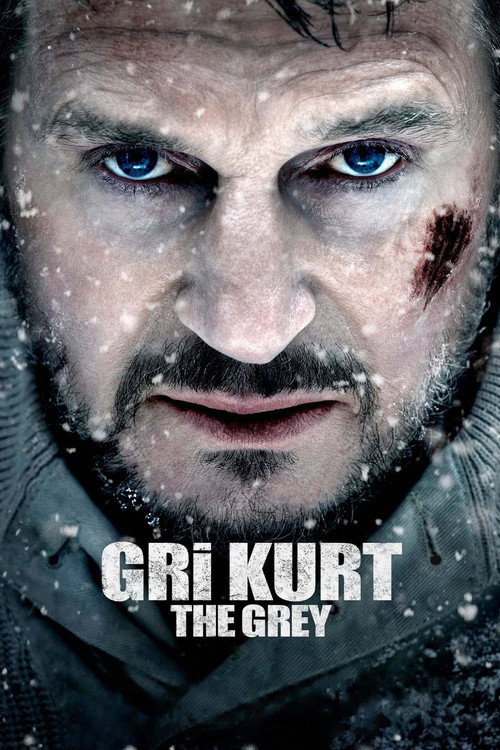 Gri Kurt izle (2012)