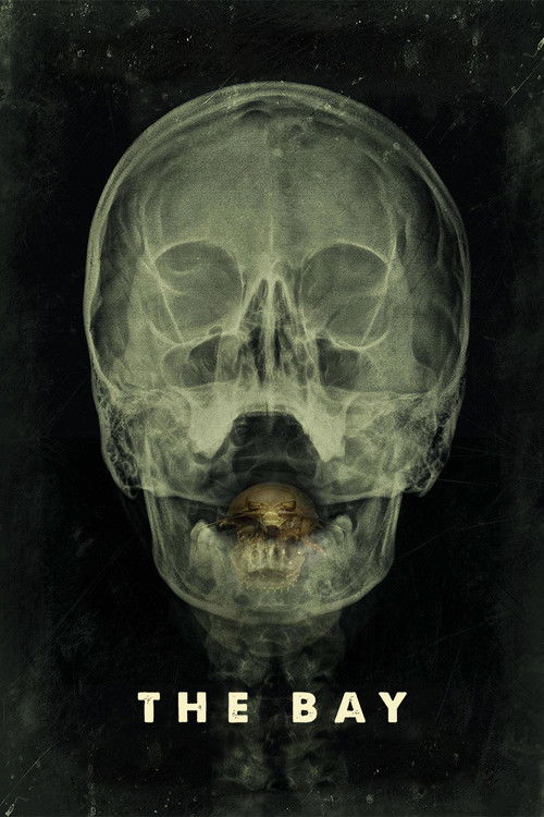 Körfezci izle (2012)