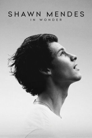 Shawn Mendes: In Wonder izle (2020)