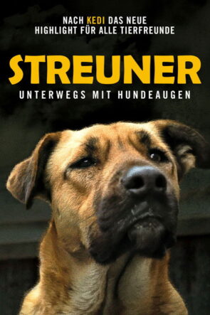 Stray izle (2021)