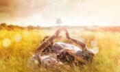 Aşk Notları izle (2016)
