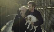 Aşkın Halleri izle (2011)