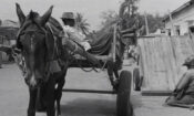 Borom sarret izle (1963)