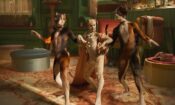 The Platform izle (2019)