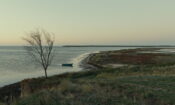 Evge izle (2019)