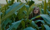Falsely Accused izle (2016)