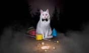 Koko-di Koko-da izle (2019)