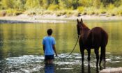 Lean on Pete izle (2018)