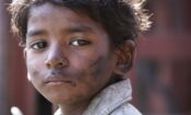 Lion izle (2016)