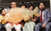 Merhaba Hayalet izle (2010)