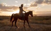 O Matador izle (2017)