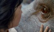 Okja izle (2017)