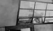 Rysopis izle (1965)
