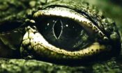 Saltwater: The Battle for Ramree Island izle (2021)