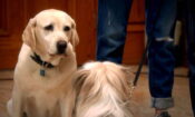 The Dog Who Saved Easter izle (2014)