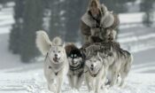 The Great Alaskan Race izle (2019)