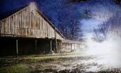 The Pig Farm izle (2011)