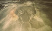 Trench 11 izle (2017)