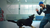 Canine Intervention izle