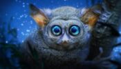 Earth at Night in Colour izle
